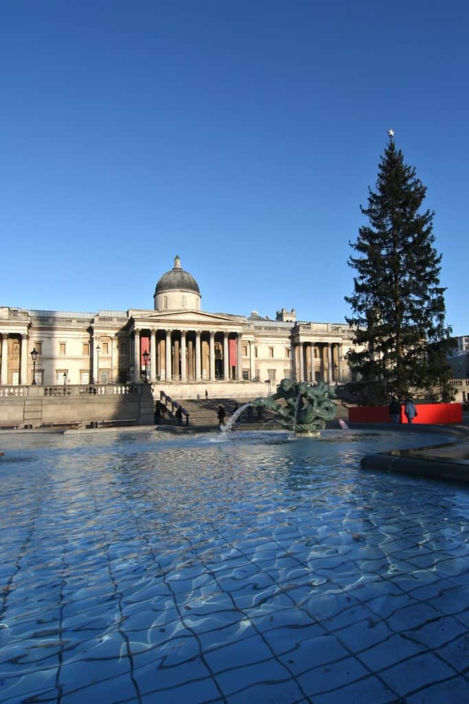 Trafalgar Square Christmas tree during the day, with the National Gallery in the background